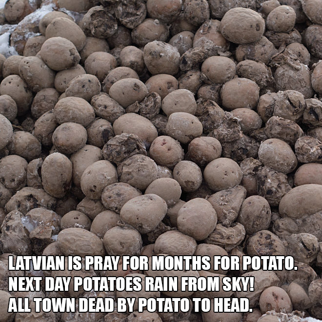 Aren't Latvian jokes just the best?