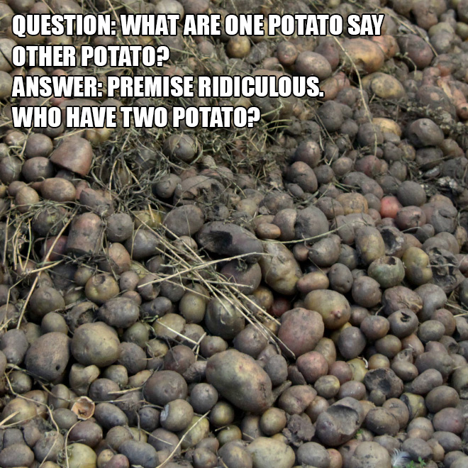 Question: What are one potato say other potato? Answer: Premise ridiculous. Who have two potato?