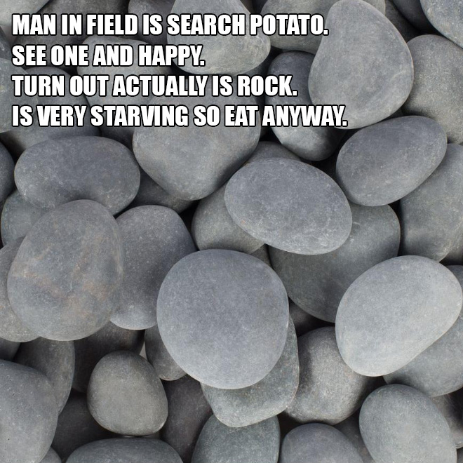 Man in field is search potato. See one and happy. Turn out actually is rock. Is very starving so eat anyway.