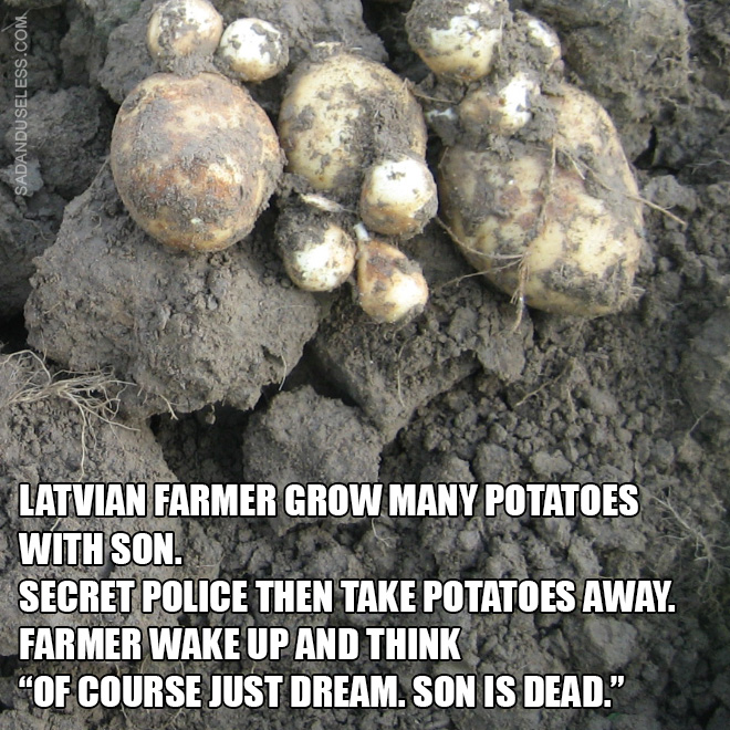 Latvian farmer grow many potatoes with son. Secret police then take potatoes away. Farmer wake up and think "Of course just dream. Son is dead."